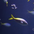 IMG_1593298