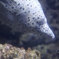 IMG_1593302