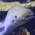 IMG_1593305