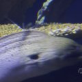 IMG_1593306