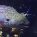 IMG_1593309