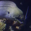 IMG_1593312