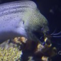 IMG_1593315