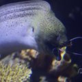 IMG_1593316