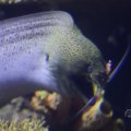 IMG_1593318