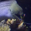 IMG_1593319