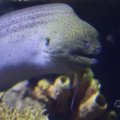 IMG_1593320