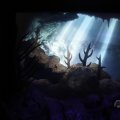 IMG_1593340