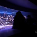 IMG_1593347