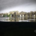 IMG_1593357