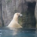 IMG_1593384
