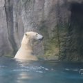 IMG_1593385