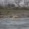 IMG_1593386