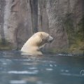 IMG_1593388