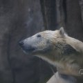 IMG_1593392