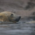 IMG_1593394