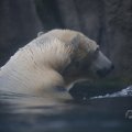 IMG_1593396