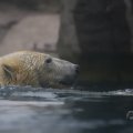 IMG_1593397