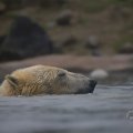 IMG_1593399
