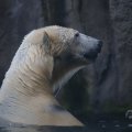 IMG_1593400