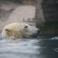 IMG_1593401