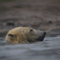 IMG_1593402
