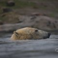 IMG_1593403