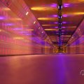 IMG_1593466