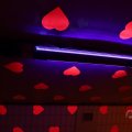 IMG_1593481