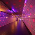 IMG_1593558