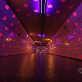 IMG_1593565