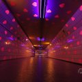 IMG_1593566