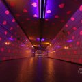 IMG_1593567