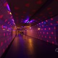 IMG_1593576