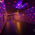 IMG_1593578