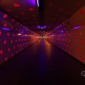 IMG_1593582
