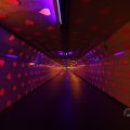 IMG_1593584