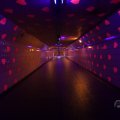 IMG_1593585