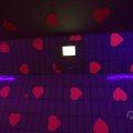IMG_1593591