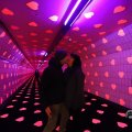 IMG_1593836
