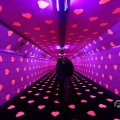 IMG_1593846