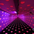 IMG_1593855