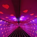 IMG_1593862