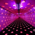 IMG_1593866