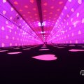 IMG_1593873