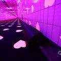 IMG_1593882