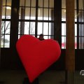 IMG_1593907