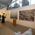 IMG_1593719
