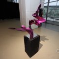 IMG_1593763