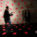 IMG_1594005
